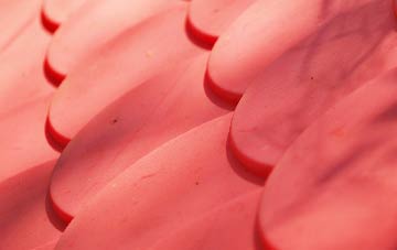 Hever plastic roof costs