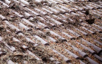 Hever roof cleaning companies
